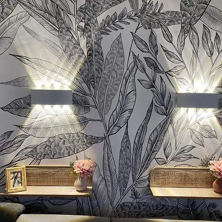 Studio Neuf Pour 2 Personnes, Hypercentre Toulouse, Calme 아파트